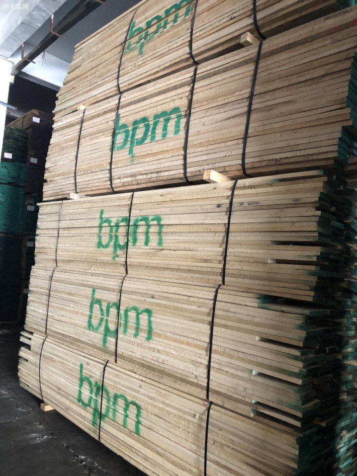 进口美国黄杨(鹅掌楸)木板材高清图片