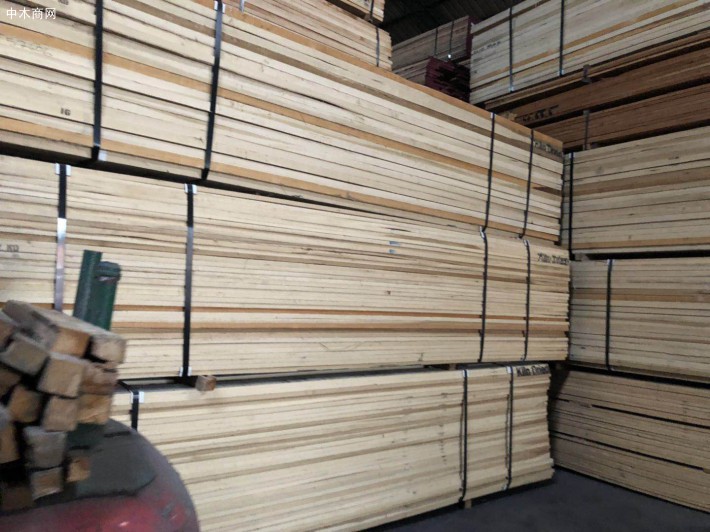 进口北美硬枫木板材高清图片厂家