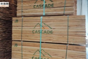 供应各等级规格的美国赤杨木板材图3