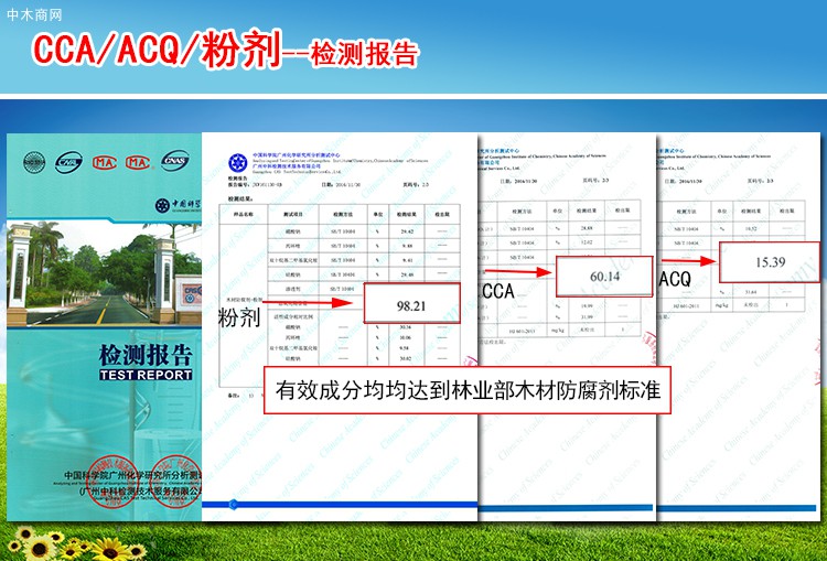 木材防腐剂ACQ/CCA木材竹子防腐剂，防腐防蛀防虫蚁