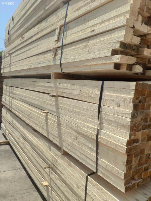 广西象州县进行木材产业发展考察交流