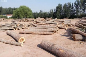 未办手续私开工,内蒙古一木材工厂被查处