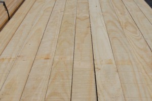 广东进口松木板材长期大量供应辐射松木智利松新西兰松