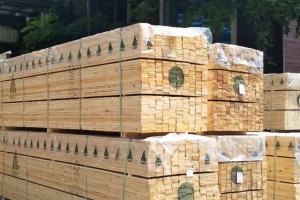 广东进口松木板材长期大量供应辐射松木智利松新西兰松图3