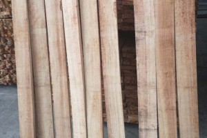 进口橡胶木锯材 泰国橡胶木烘干板材 方料 木板材