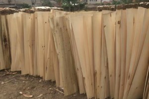 襄阳毅航木业厂家直销松木板皮