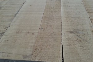实木板材 美国黄杨木 北美鹅掌揪木板材