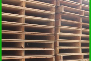 苏州胥口镇取缔一家非法生产木制品加工厂