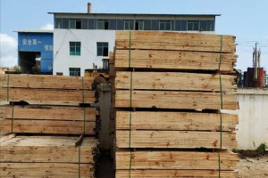 中国林产工业协会社会责任报告在京发布