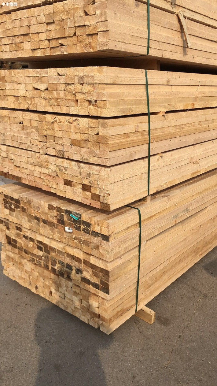 无锡工地木方市场价格行情
