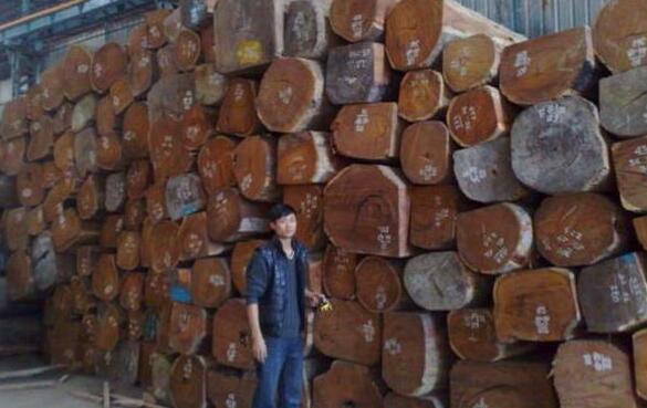 老挝政府严禁所有未经加工的木材出口！