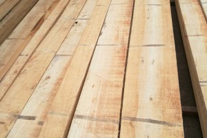 建淼木业白杨木烘干板材的特点和好处