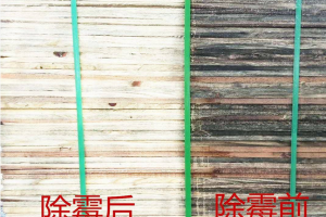 木材除霉剂 高效木材除霉剂厂家图2