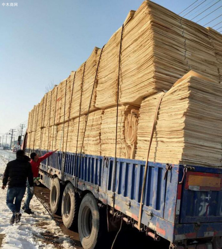 重庆永川打造西南比较大木材加工贸易基地