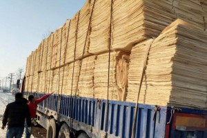 重庆永川打造西南最大木材加工贸易基地