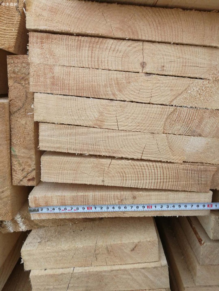 樟子松板材干燥是什么意思？