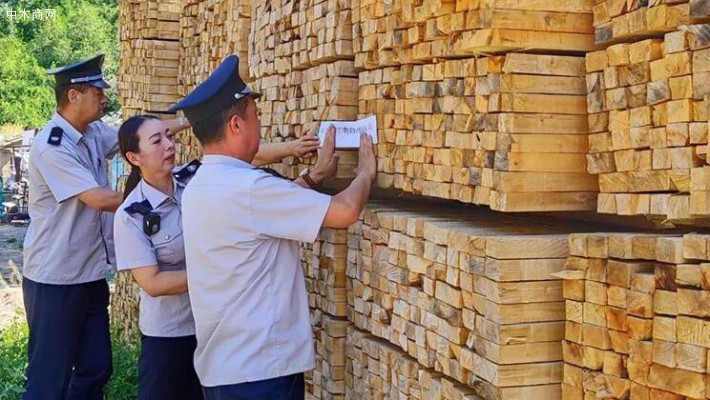 新疆石河子市林检局处理一批带疫木材