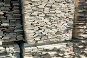 出售两米桦木板材通货2.0厚度