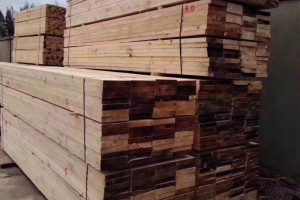 新疆疏勒县开展木材加工厂消防安全检查「建筑木方」