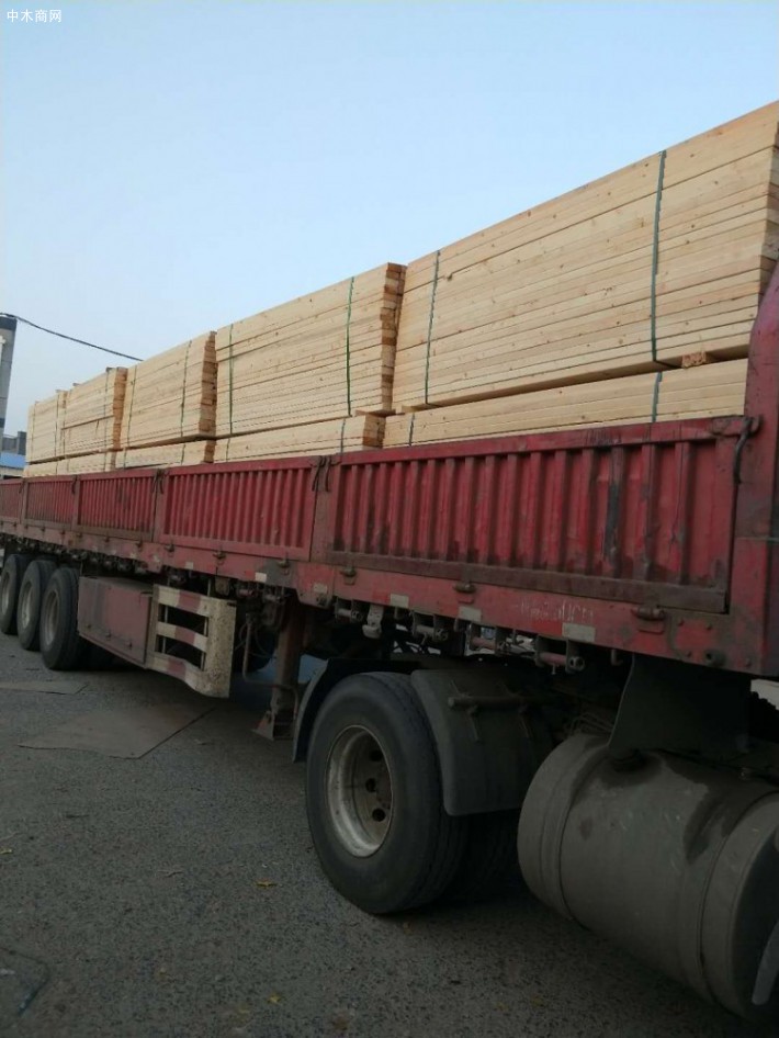 兰州新区打造全省首个俄罗斯进口木材集散分拨中心