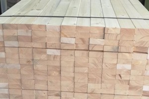 儋州雅星东山木材加工厂未办理环保手续被立案查处