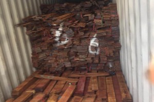「国际木材最新消息」沙湾拿吉省当局截获近500块非法采伐木材！
