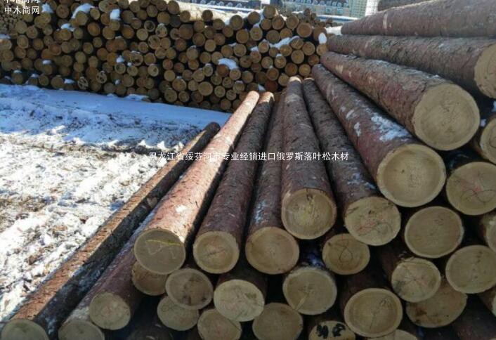 2019上半年俄罗斯伊州原木和锯材出口量减少9%