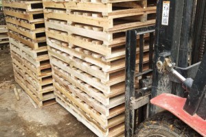 霸州多家木制品加工厂被曝光！