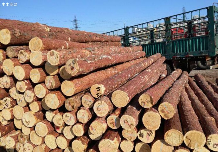 俄罗斯工贸部：禁止对华出口木材是不切实际的