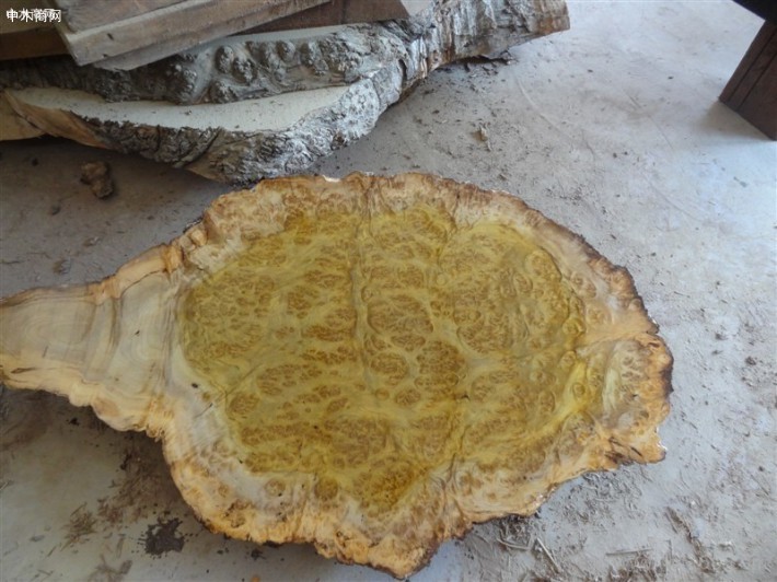 供应森鸿木制工艺供应缅甸金丝楠木树瘤板图片
