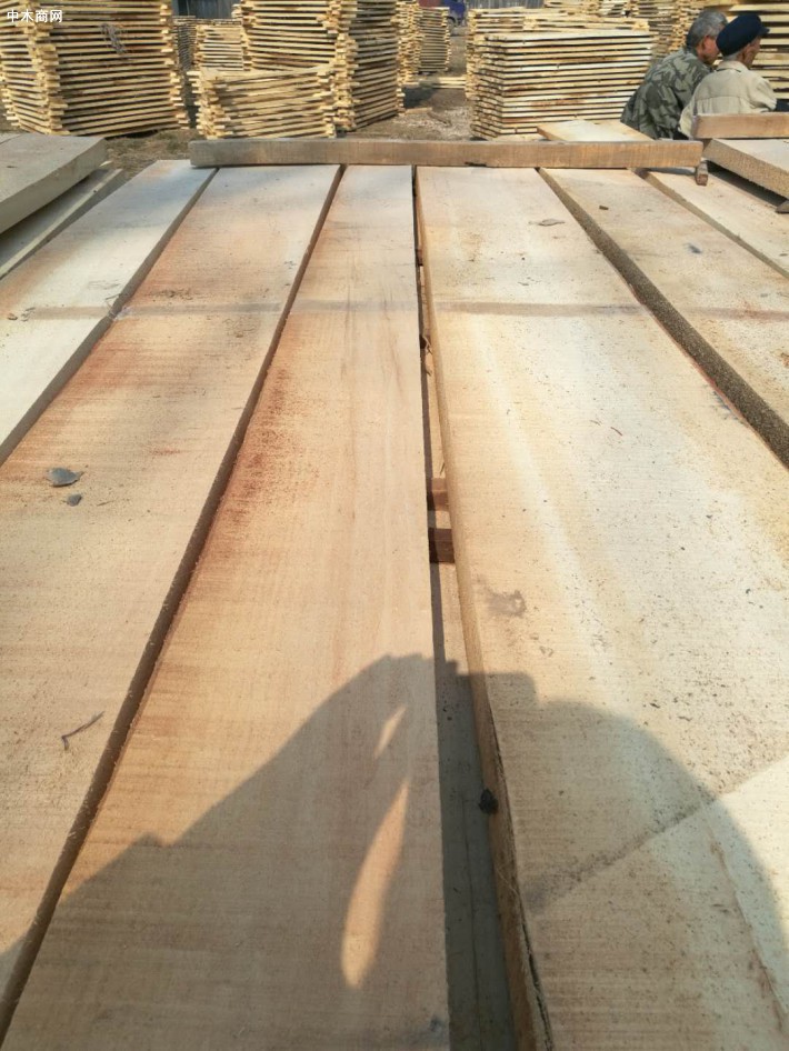 杨木板材工业化利用主要包括