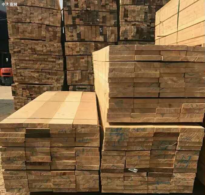 广西来宾减税降费助力木材加工行业