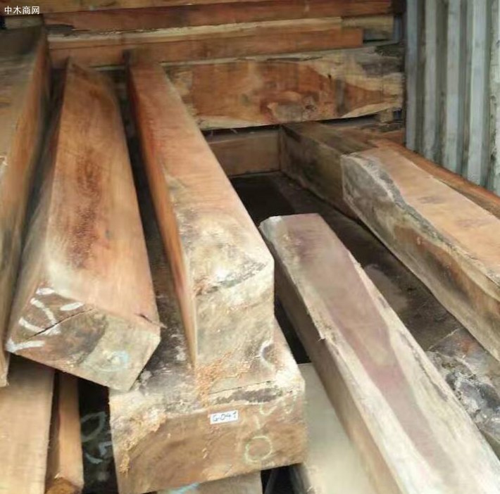 中缅打击非法木业贸易