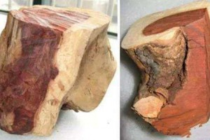 木材常用知识大全