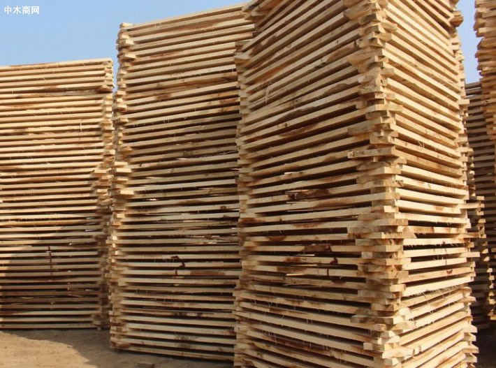 杨木板材工业化利用主要包括