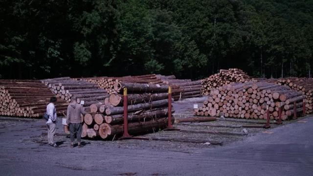 在制木的生涯中，陈杰四处寻访