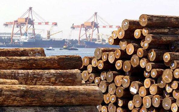 唐山建成华北比较大木材专业码头