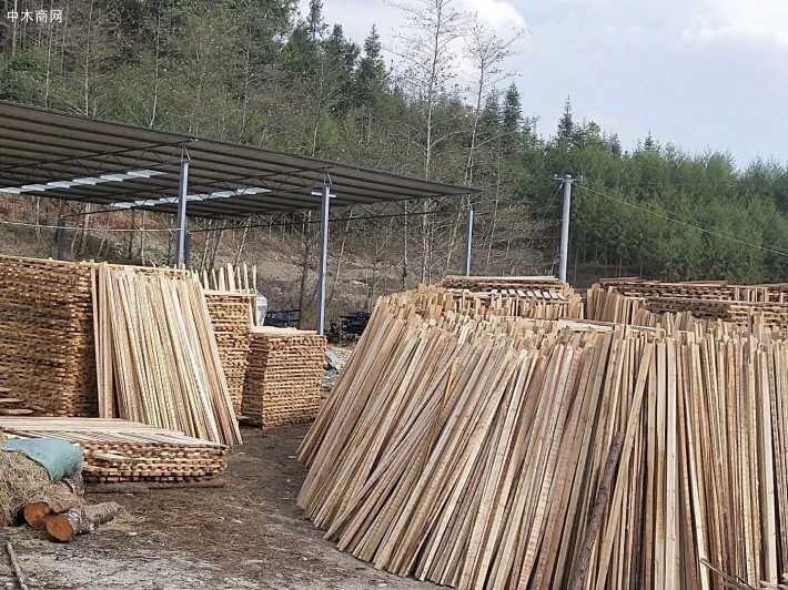 大量杉木锯木厂