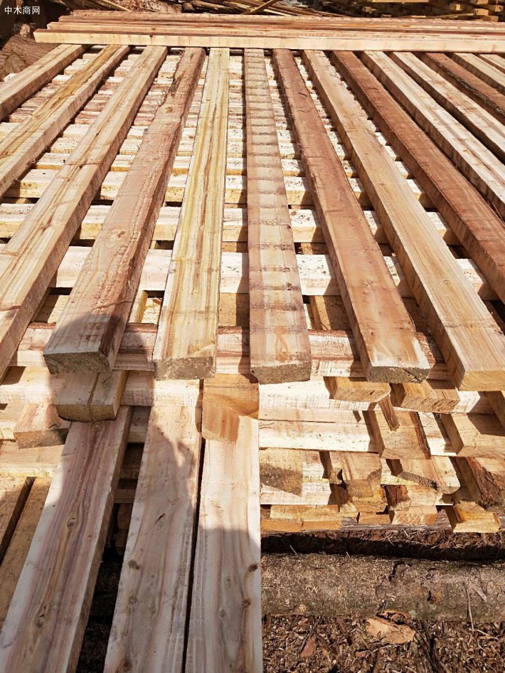 香杉木建筑木方高清图片价格