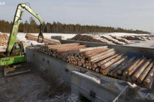 部分俄罗斯木材工厂将在2019年下半年关门