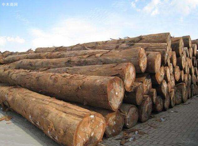 马来西亚原木出口量大幅减少