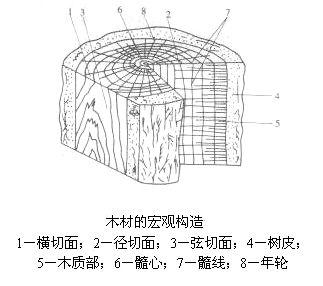 实木开裂变形的原因是什么
