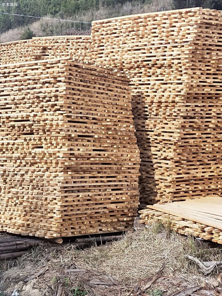 沙耶武里省下令关闭85家木材加工厂！