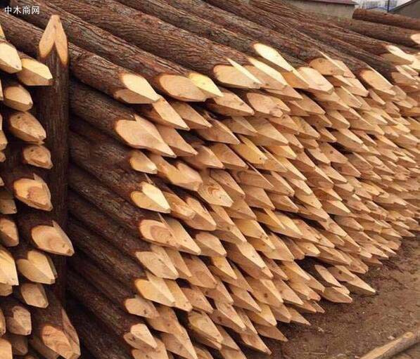 求购：落叶松木桩，长度两米小头直径12-14