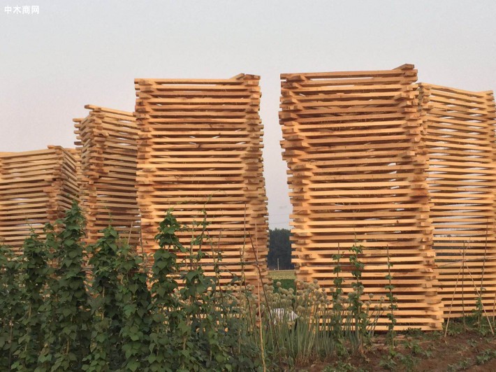 博达白杨木板材工业化利用主要包括
