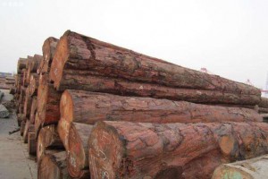 美中贸易争端阻碍海恩斯木材销售谈判