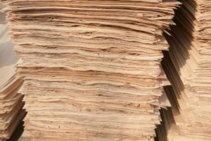 丰县诚信木业长期大量供应:杨木三拼,杨木单板,杨木皮,夹心板