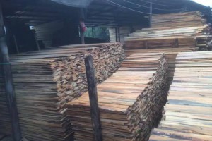 普洱墨江义仁木材加工厂直供松木板材,家具料,建筑木模板料图3