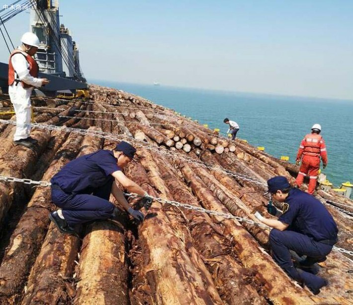 曹妃甸建成华北比较大木材专业码头