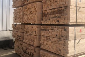 中鼎建设木材市场，助力“一带一路”
